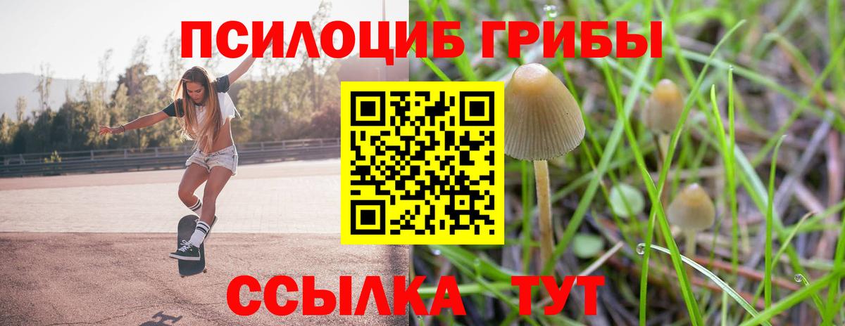 Галлюциногенные грибы MAGIC MUSHROOMS  Вход с VPN  Южно-Сахалинск 
